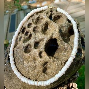 🐚 Shell necklace🐚